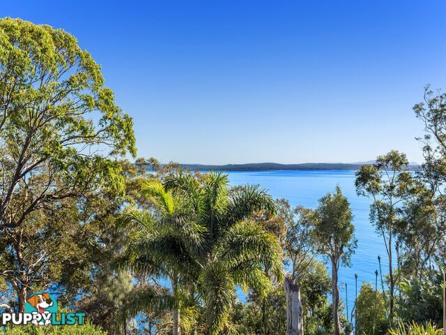 56 Thurlow Avenue NELSON BAY NSW 2315