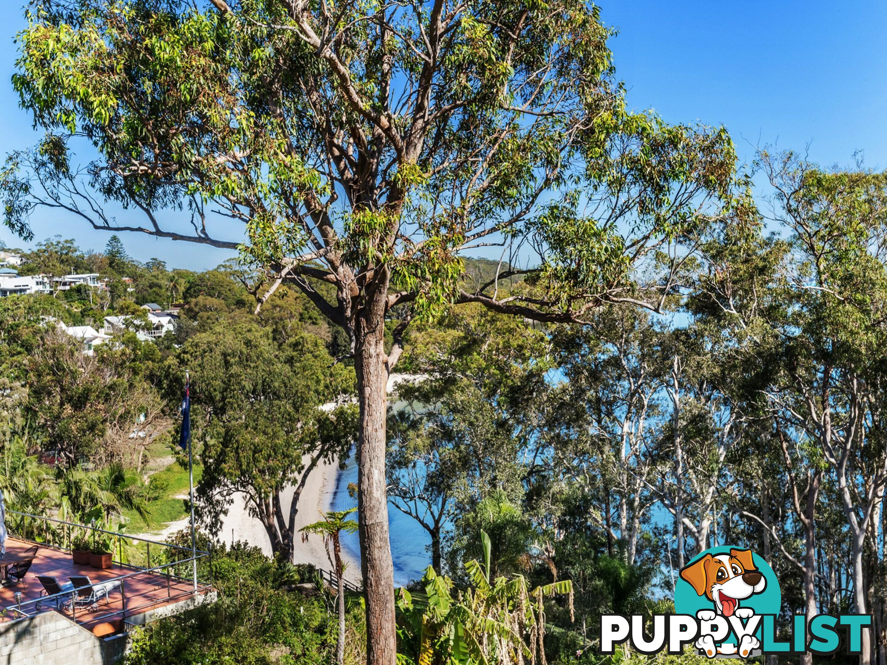 56 Thurlow Avenue NELSON BAY NSW 2315