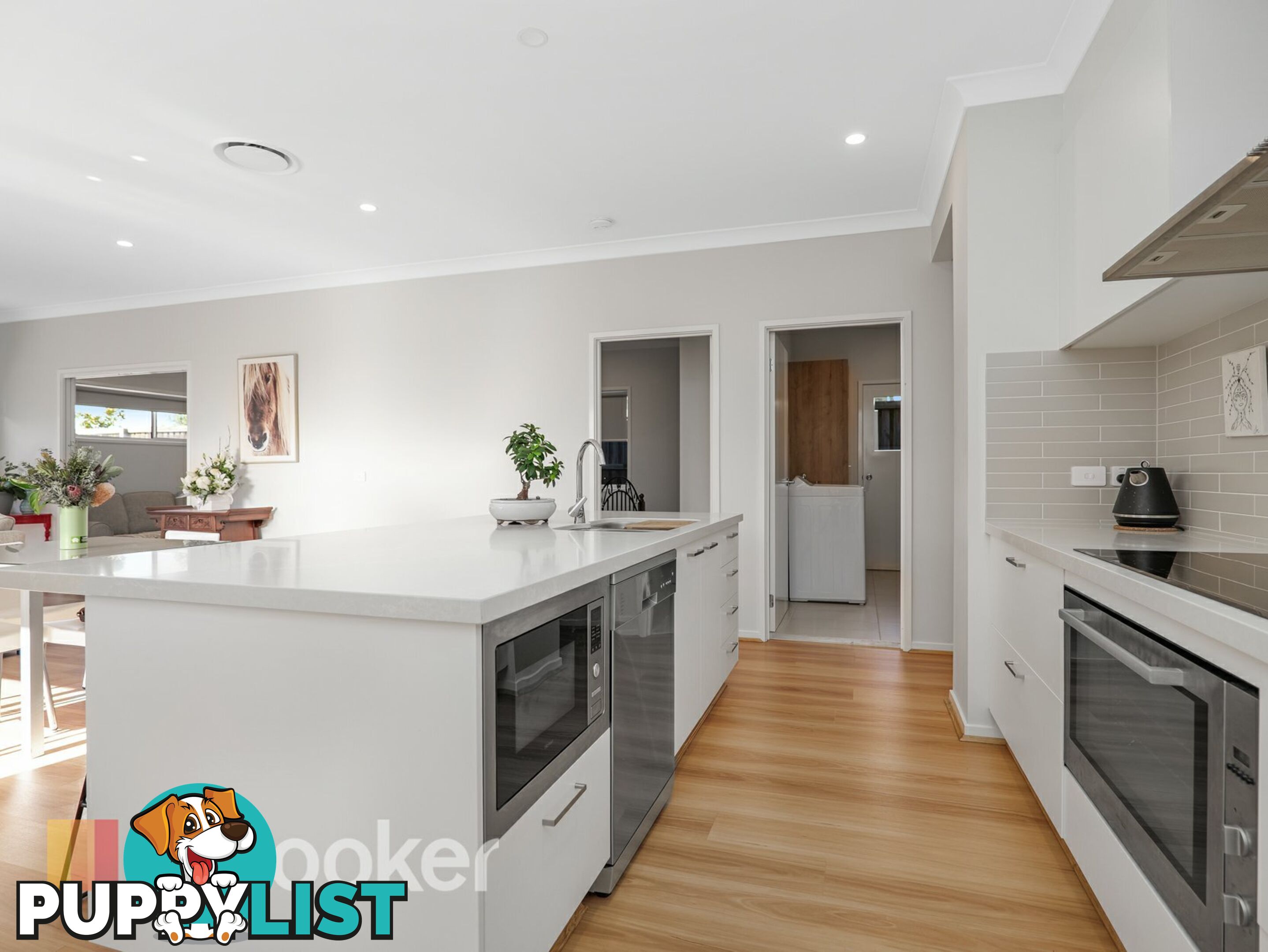 20 Western Road MEDOWIE NSW 2318