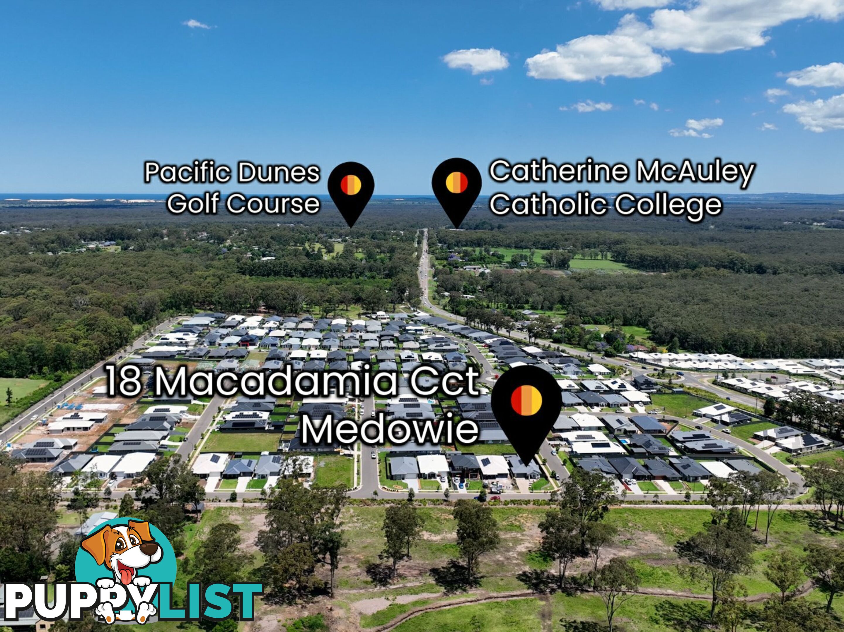 18 Macadamia Circuit MEDOWIE NSW 2318