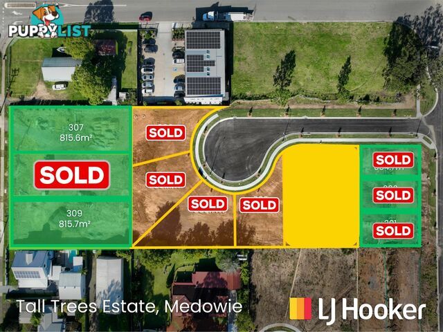 Lot 307, 309/799 Medowie Road MEDOWIE NSW 2318