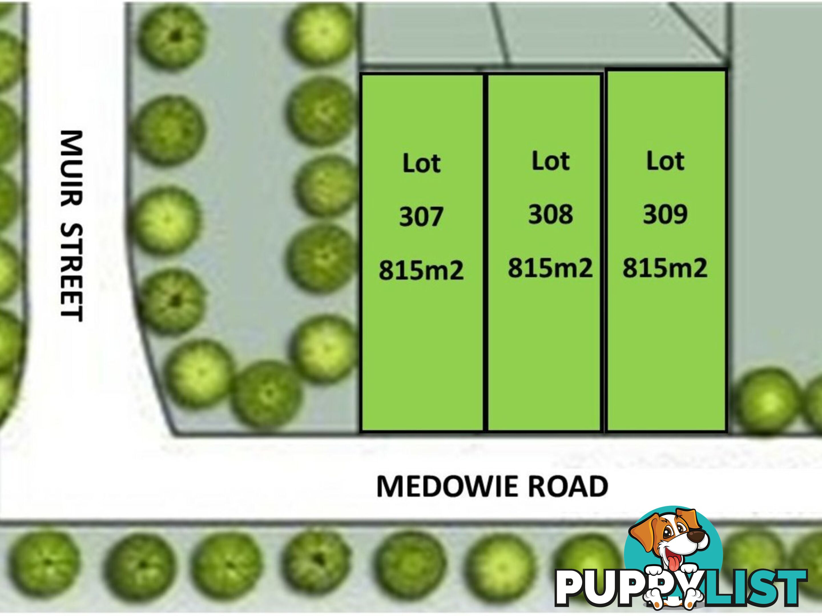 Lot 307-309 + 201-203/799 Medowie Road MEDOWIE NSW 2318