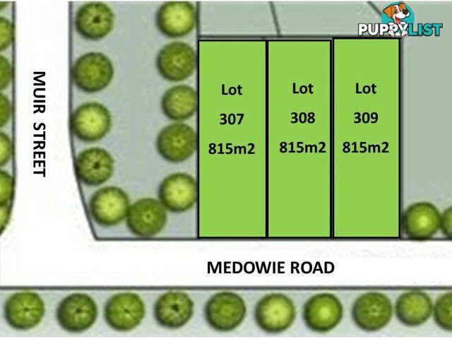 Lot 307-309 + 201-203/799 Medowie Road MEDOWIE NSW 2318