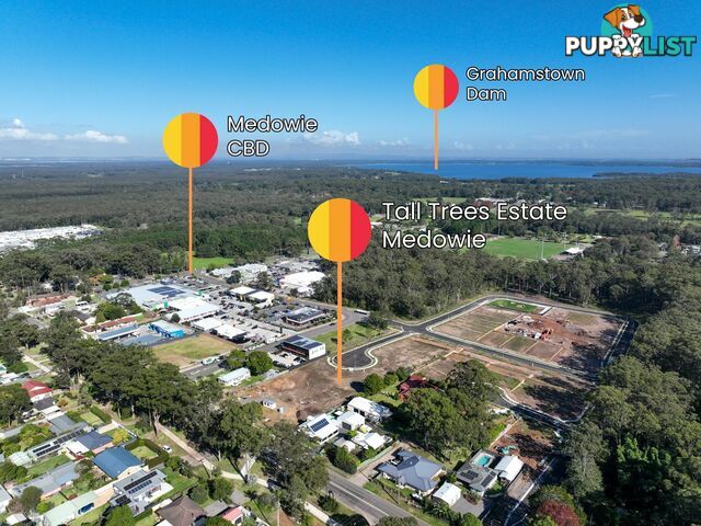 Lot 307-309 + 201-203/799 Medowie Road MEDOWIE NSW 2318