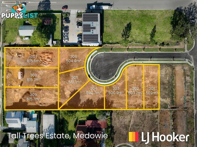 Lot 307-309 + 201-203/799 Medowie Road MEDOWIE NSW 2318