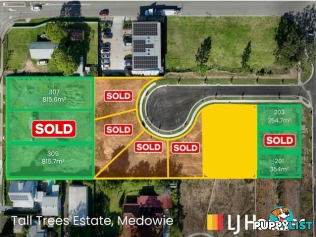 Lot 307,309 + 201,203/799 Medowie Road MEDOWIE NSW 2318