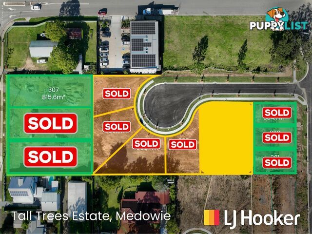 Lot 307/799 Medowie Road MEDOWIE NSW 2318