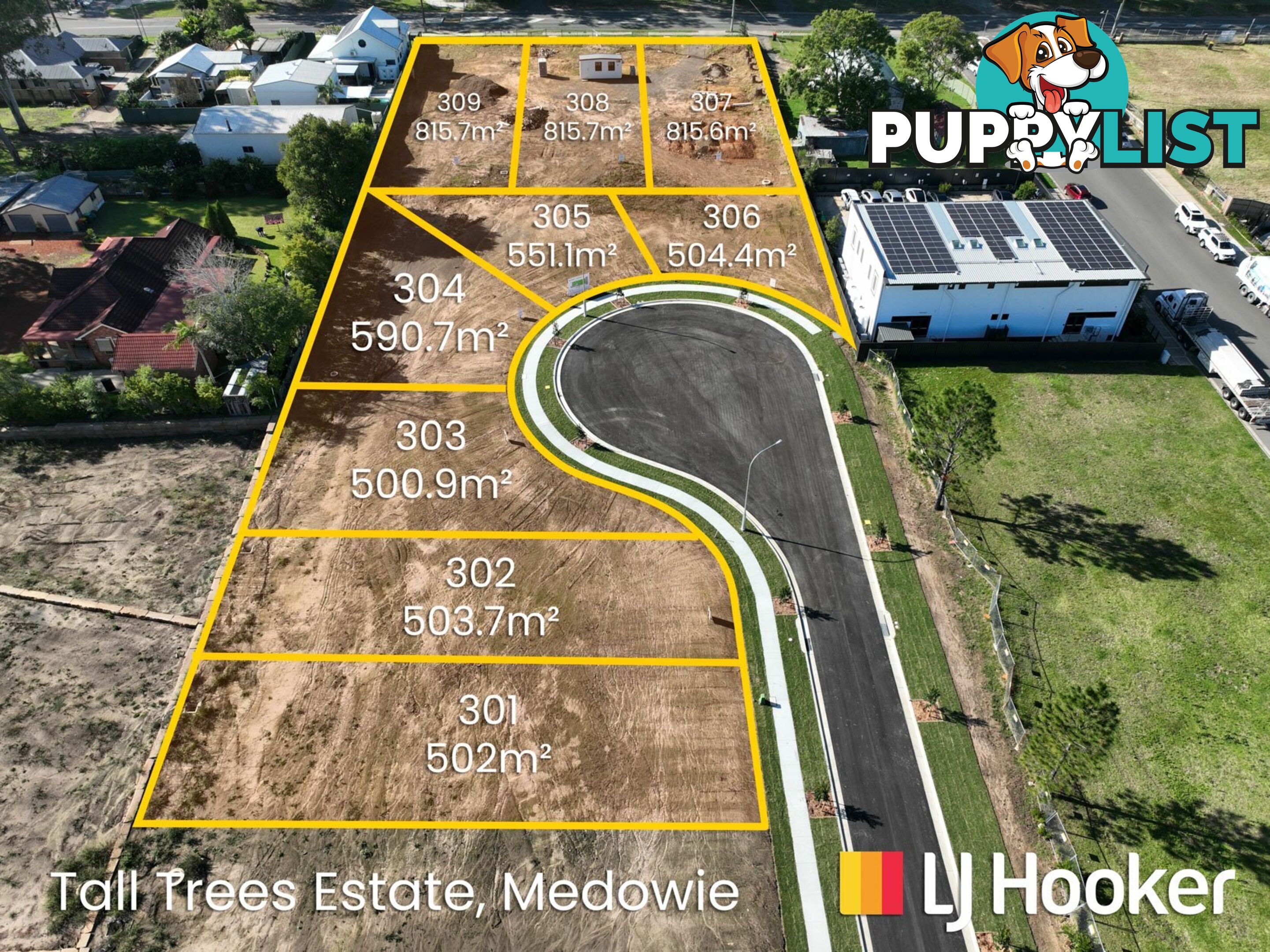 Lot 307-309 + 201-203/799 Medowie Road MEDOWIE NSW 2318