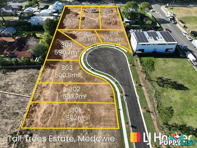 Lot 307-309 + 201-203/799 Medowie Road MEDOWIE NSW 2318