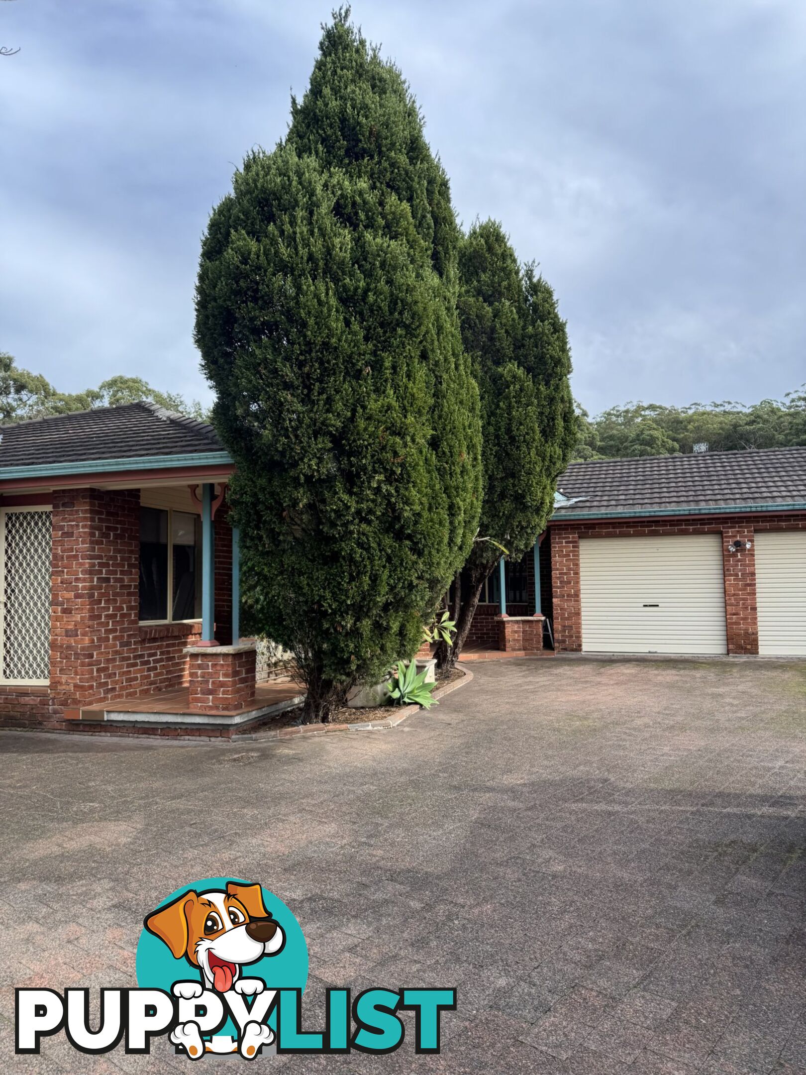 14 Marty Avenue SALAMANDER BAY NSW 2317