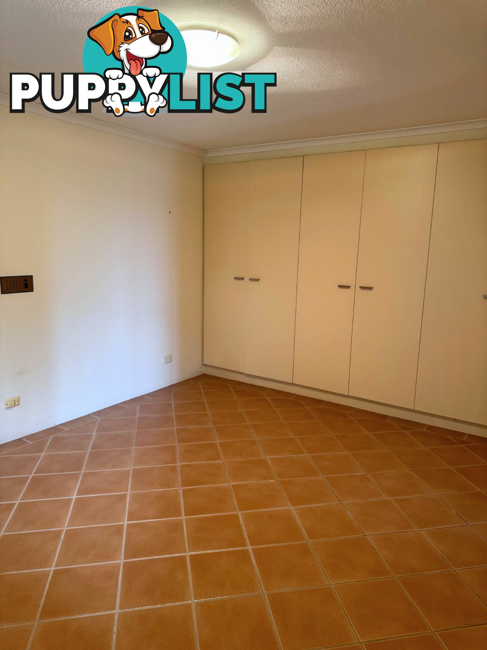 60 The Peninsula CORLETTE NSW 2315