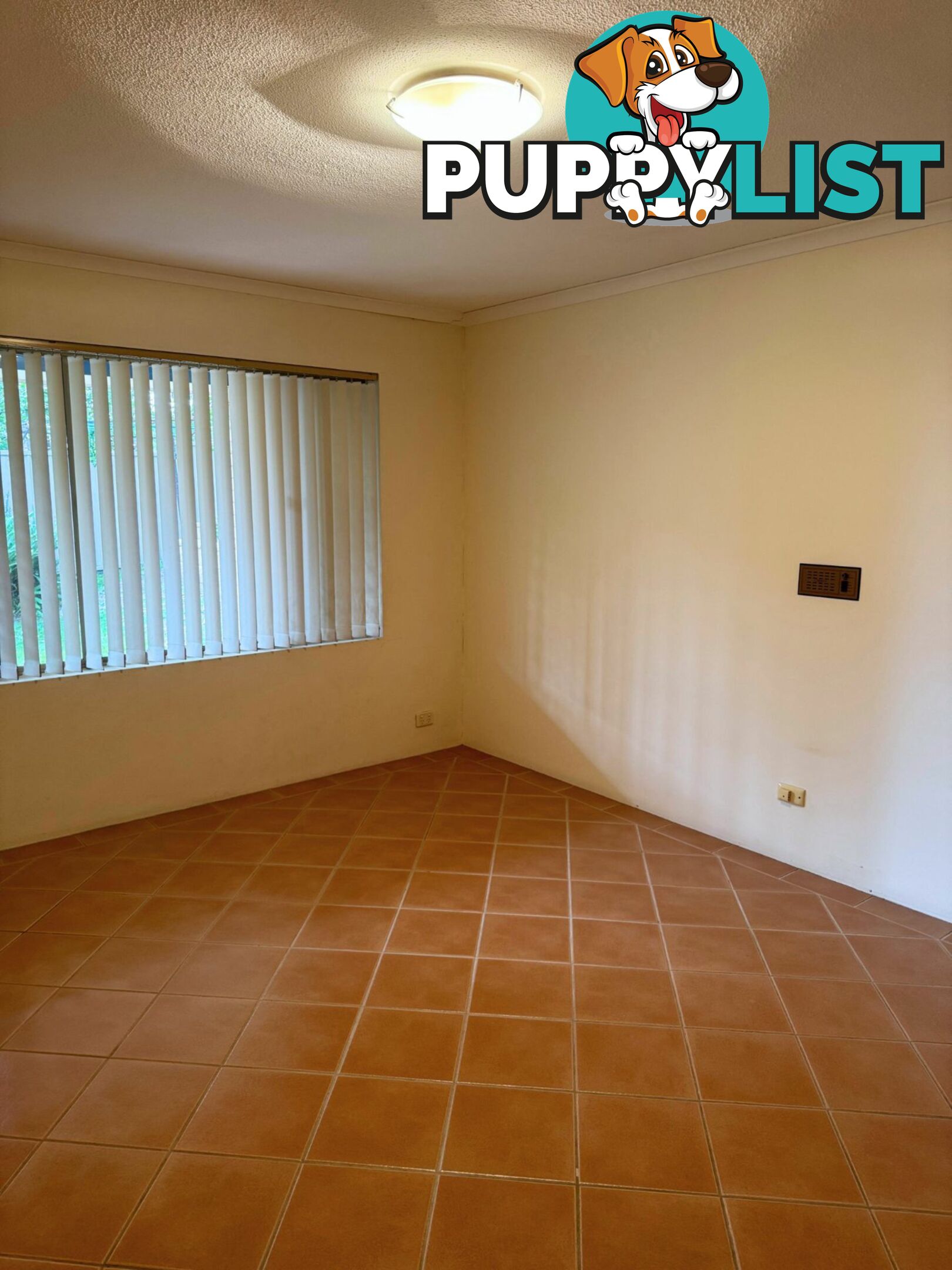 60 The Peninsula CORLETTE NSW 2315