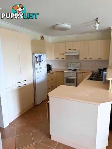 60 The Peninsula CORLETTE NSW 2315