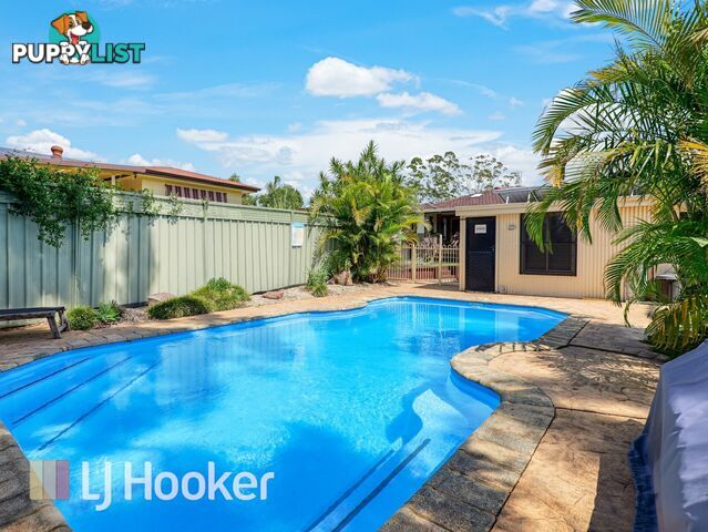 4 Coral Street MEDOWIE NSW 2318