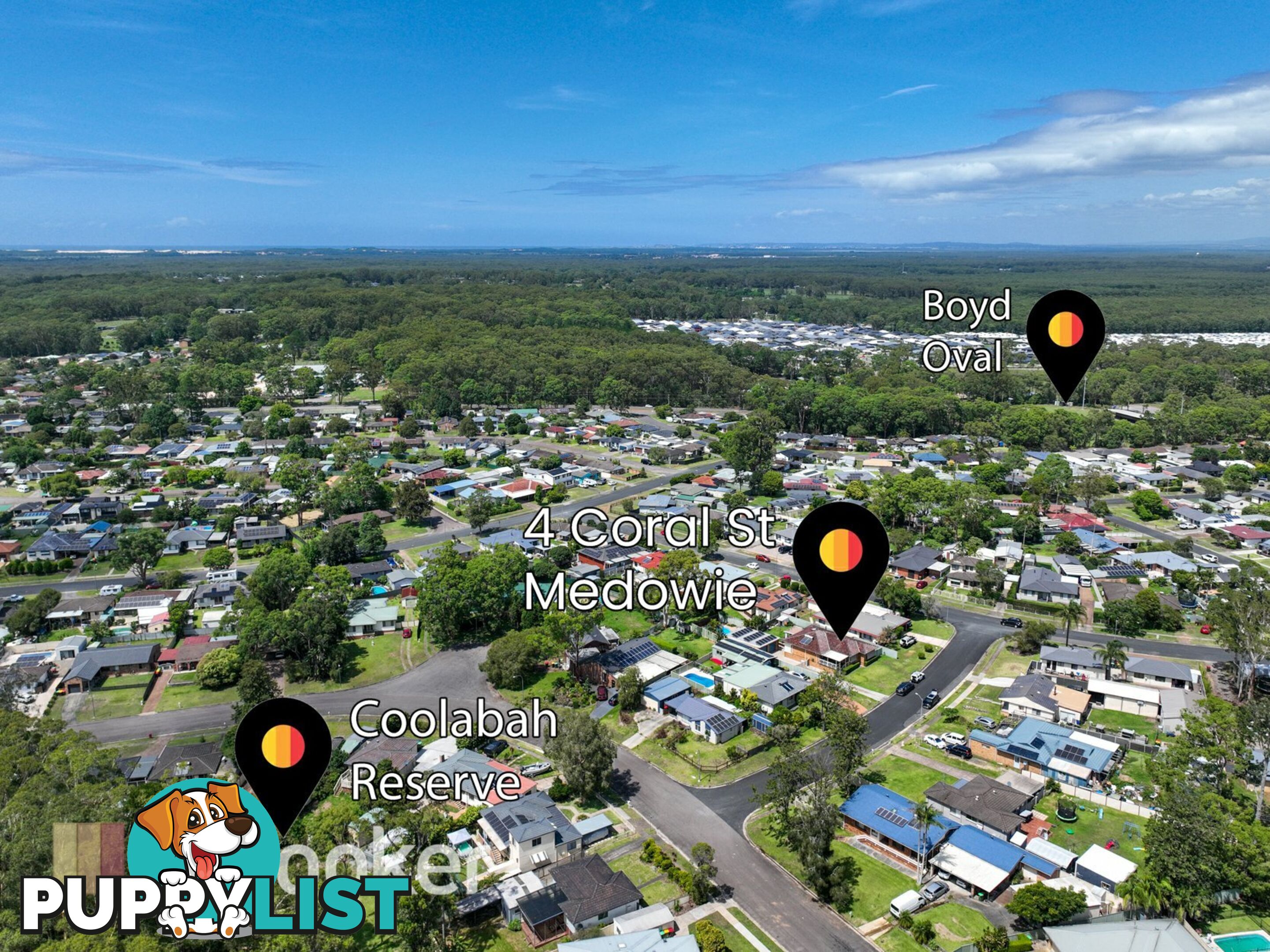 4 Coral Street MEDOWIE NSW 2318