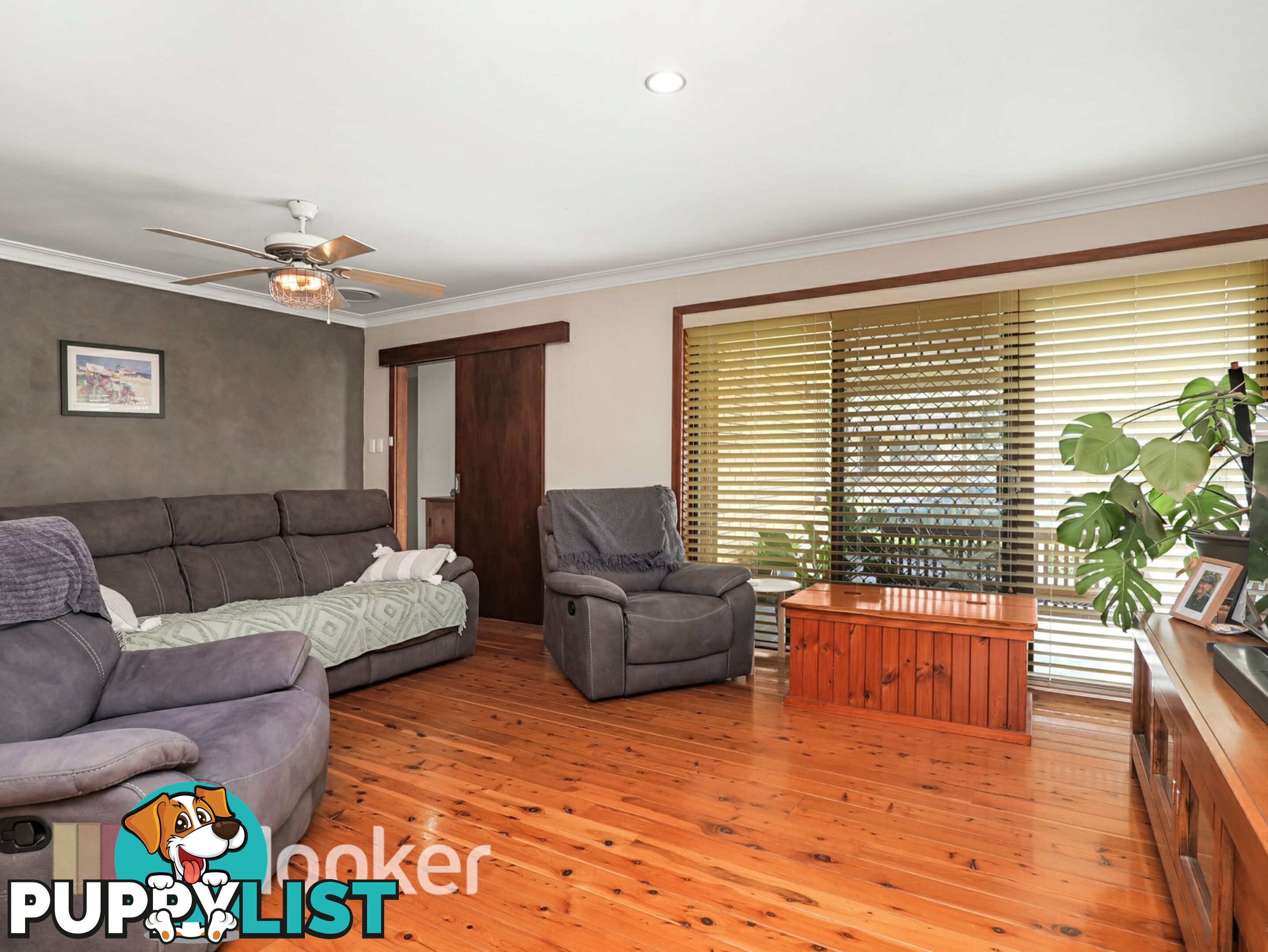 4 Coral Street MEDOWIE NSW 2318