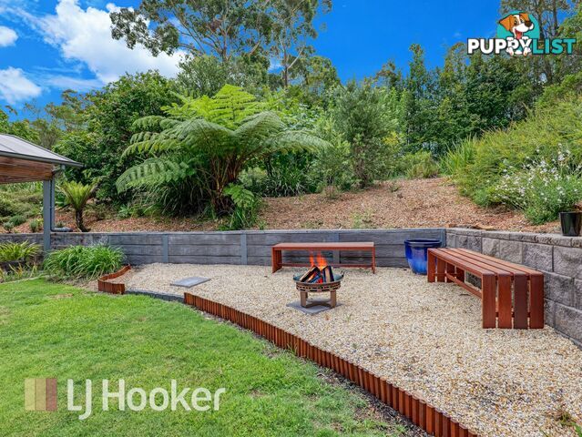 37 Sunningdale Circuit MEDOWIE NSW 2318