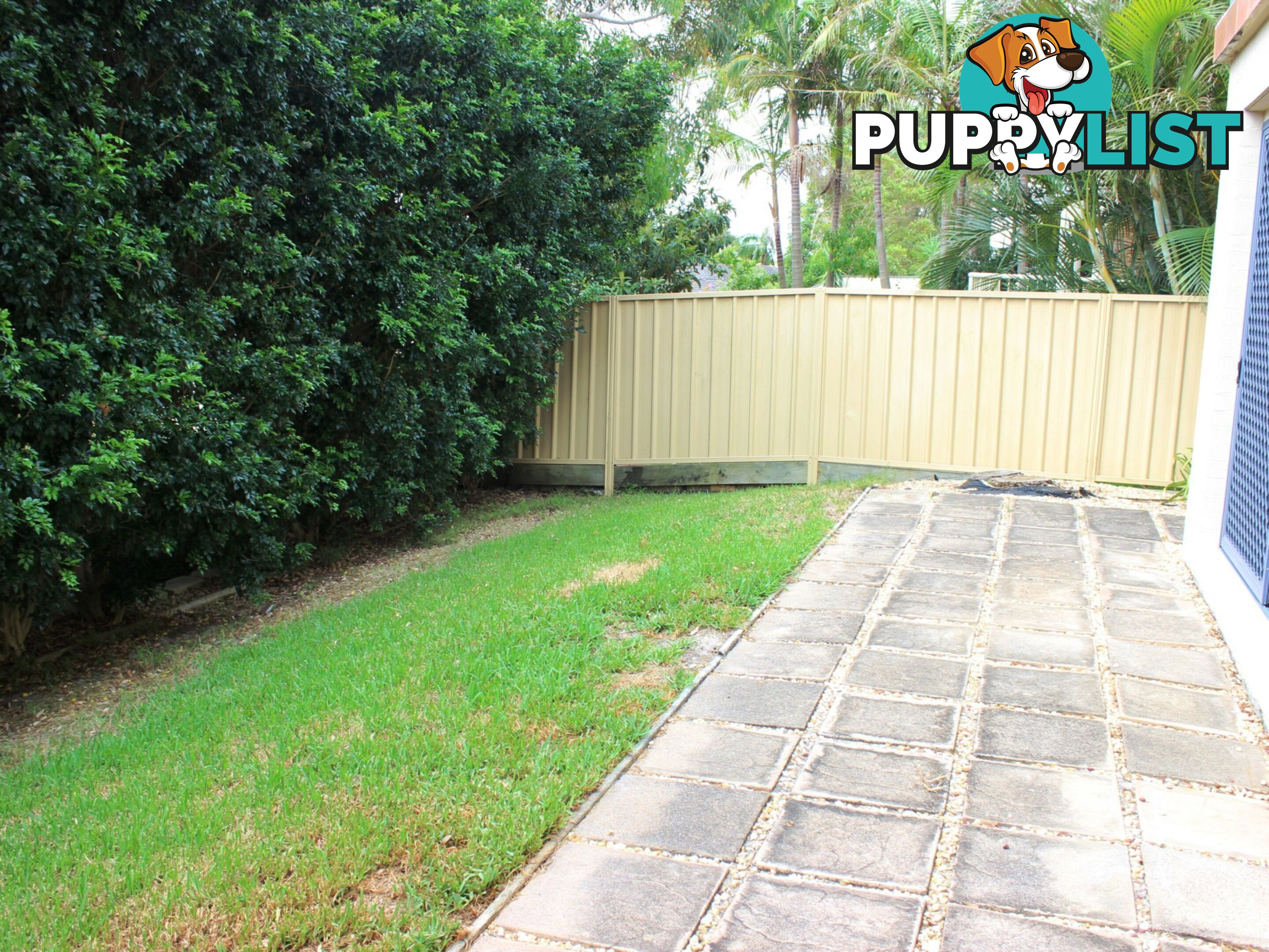 68 Bonito Street CORLETTE NSW 2315
