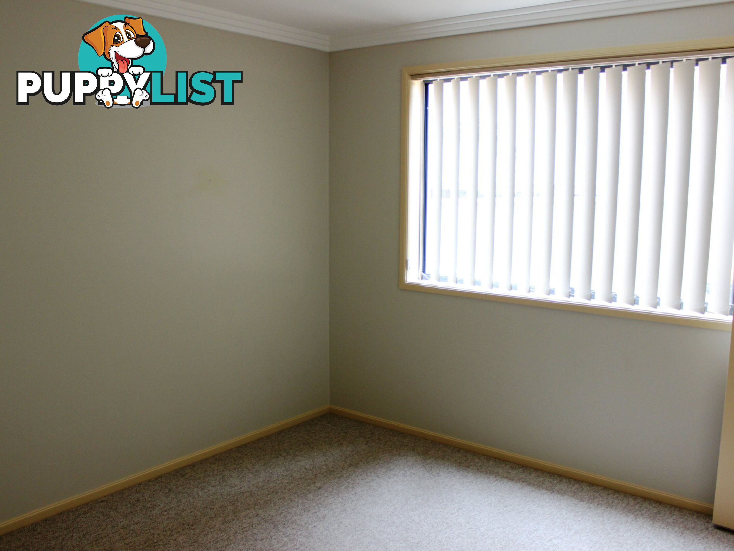 68 Bonito Street CORLETTE NSW 2315