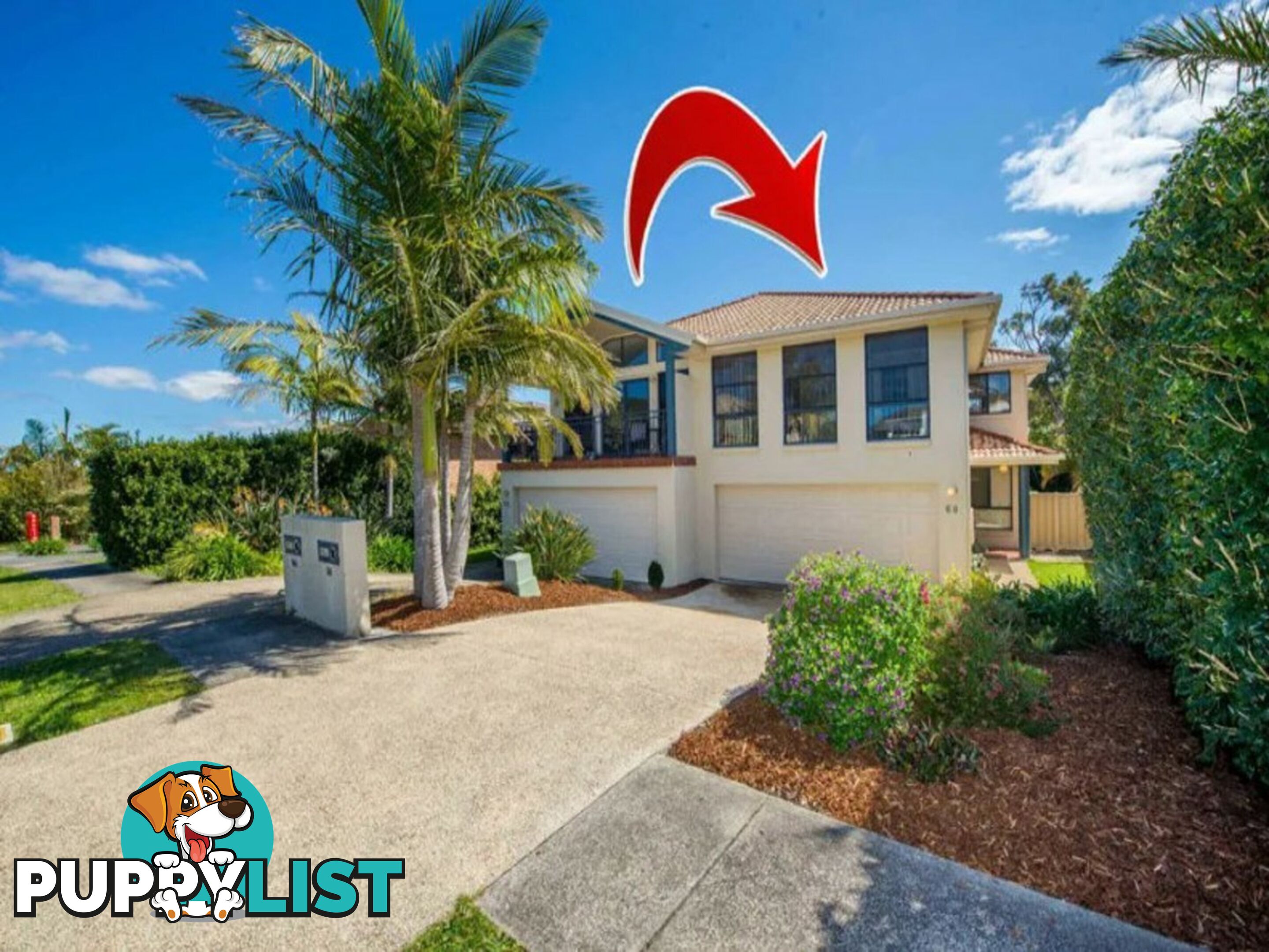 68 Bonito Street CORLETTE NSW 2315