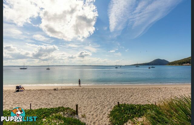 104/43 Shoal Bay Road SHOAL BAY NSW 2315