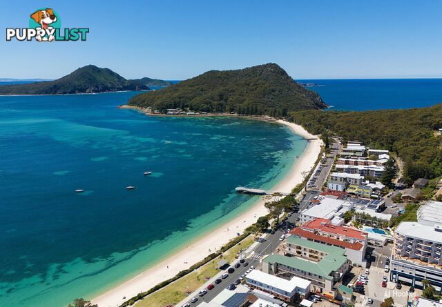 104/43 Shoal Bay Road SHOAL BAY NSW 2315