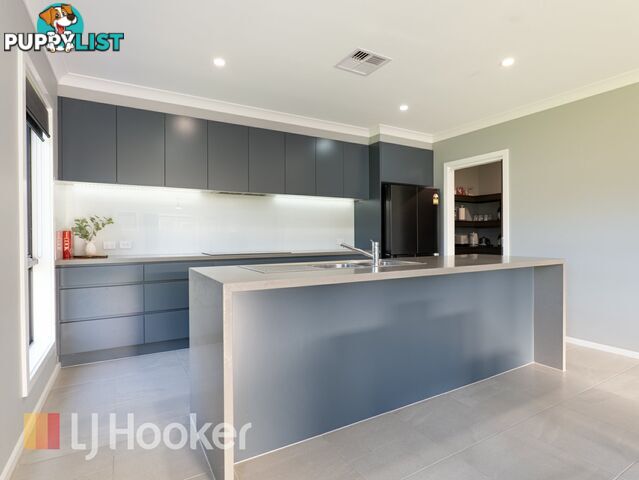 12 Berry Road MEDOWIE NSW 2318