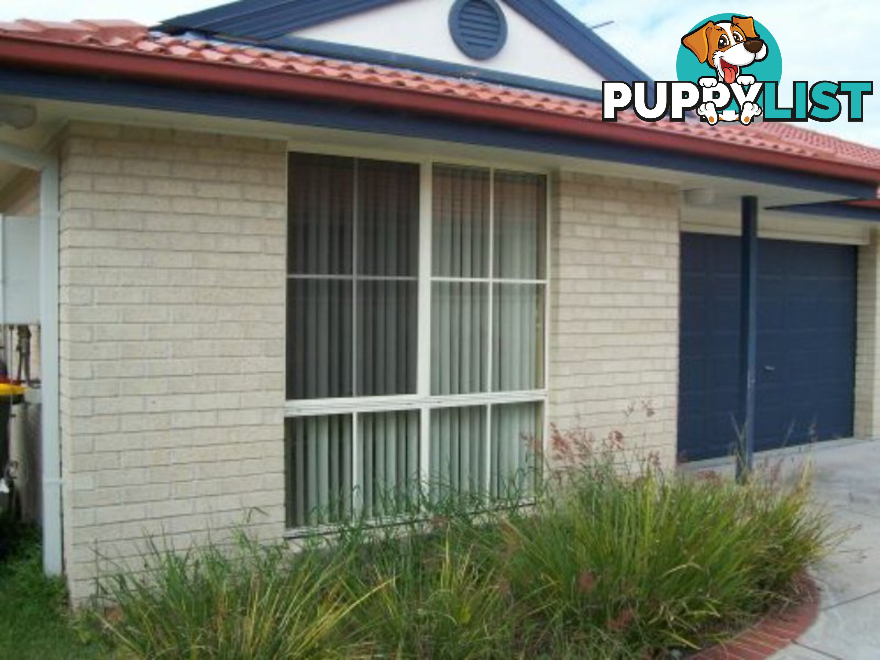 1/13 Ketch Close CORLETTE NSW 2315