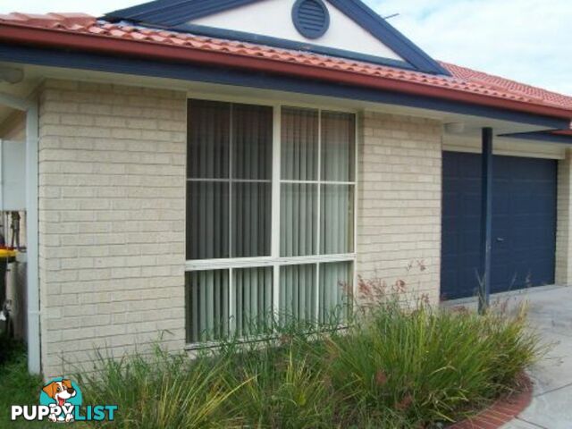1/13 Ketch Close CORLETTE NSW 2315