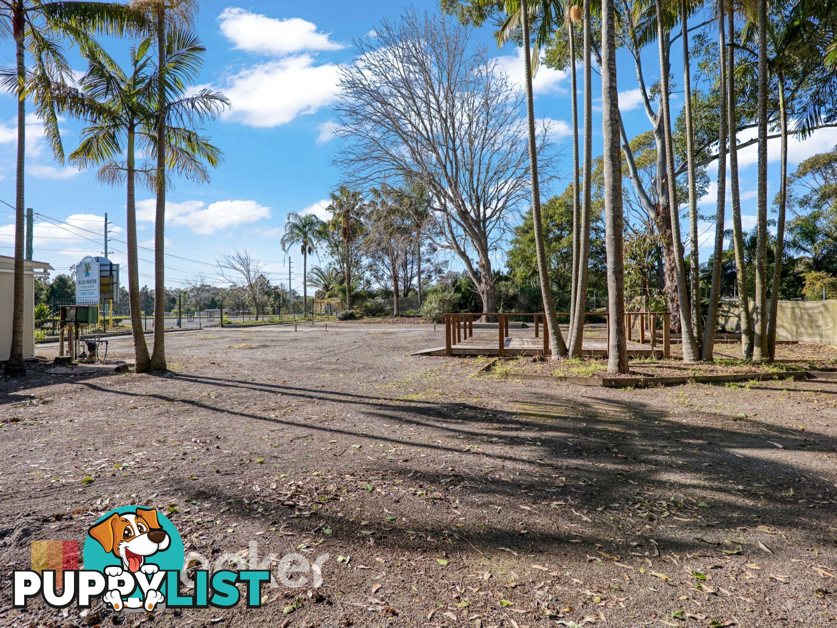3914 Nelson Bay Road BOBS FARM NSW 2316