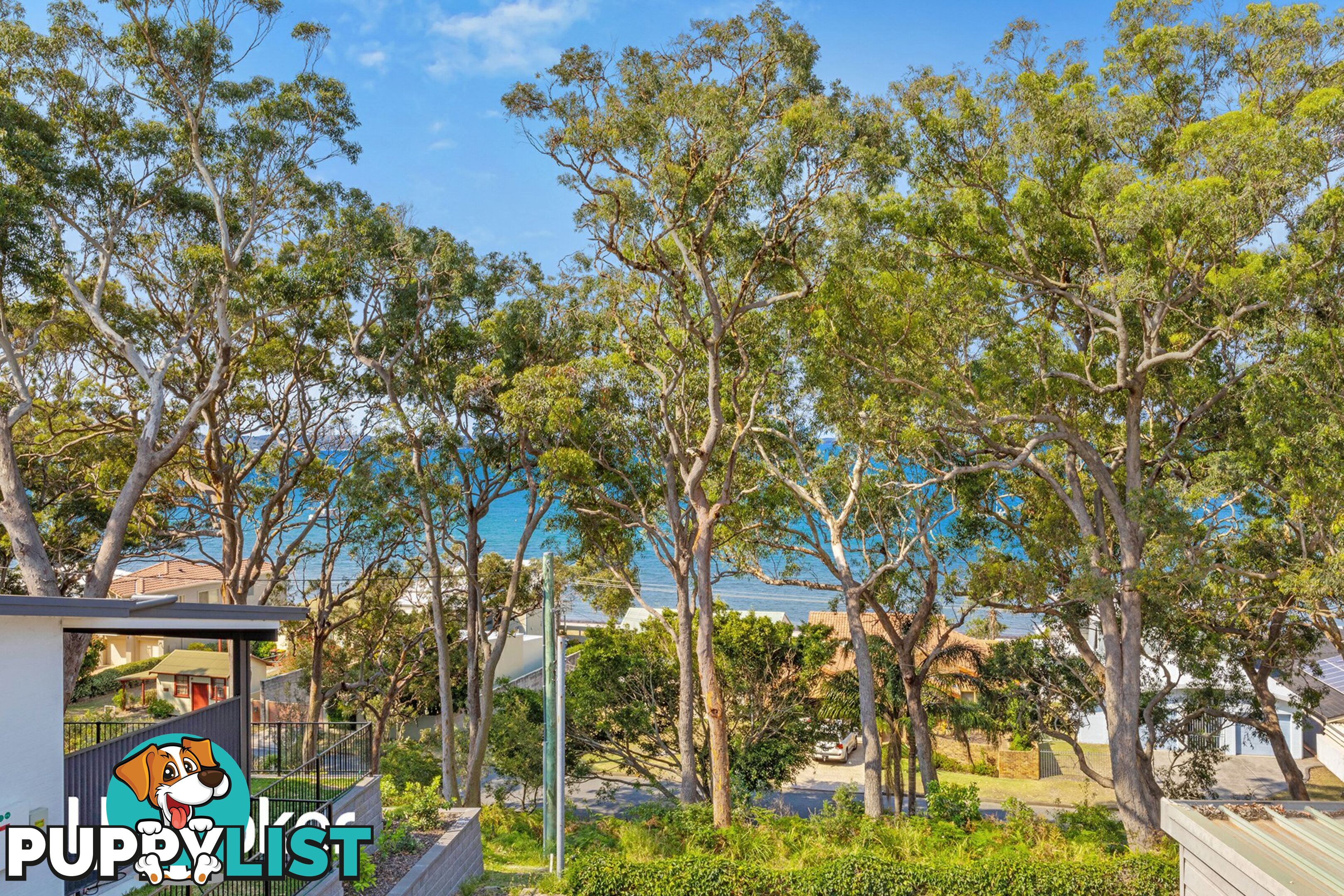 1/344 Wanda Avenue SALAMANDER BAY NSW 2317