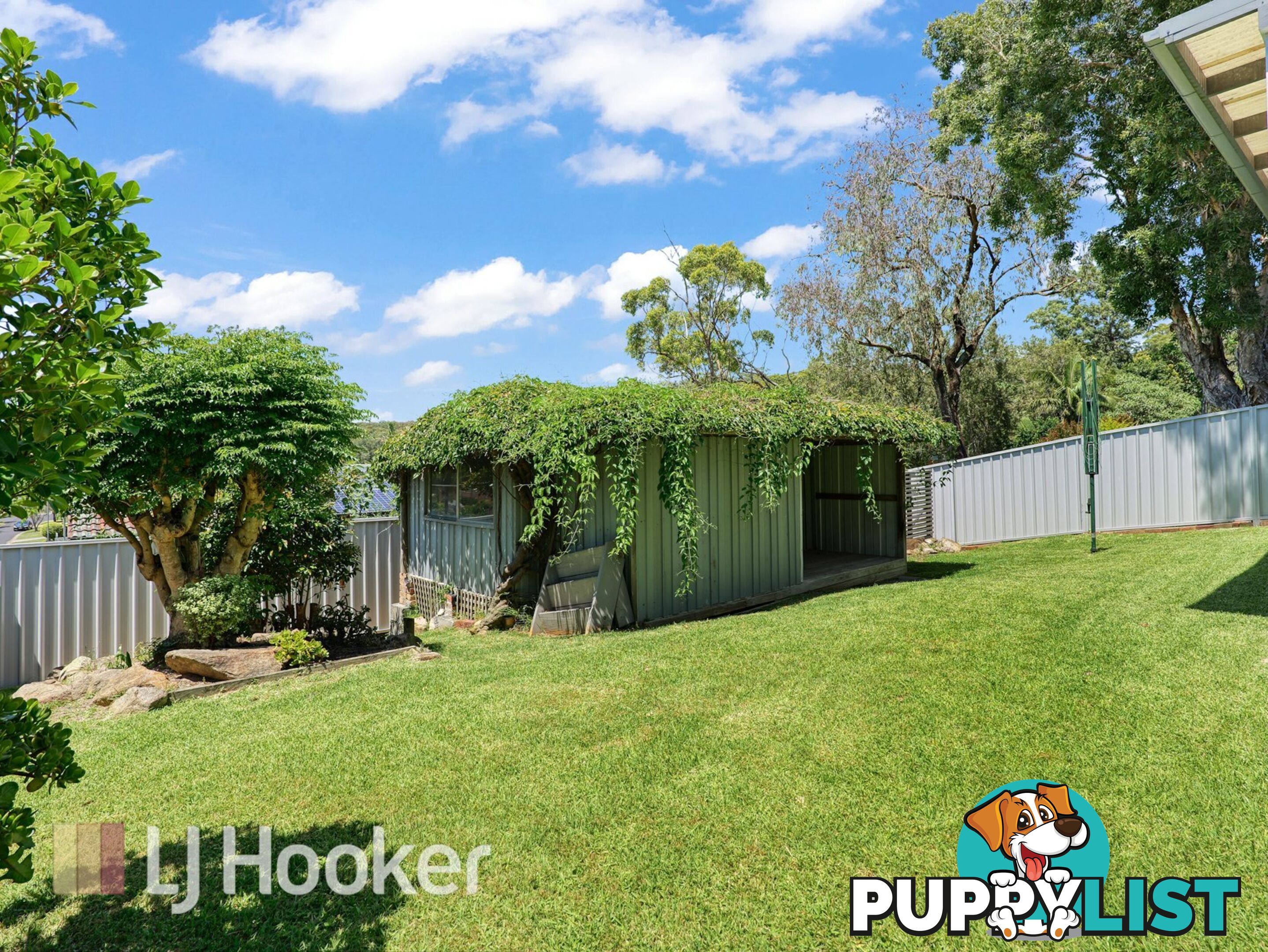 16 Waratah Avenue SALAMANDER BAY NSW 2317