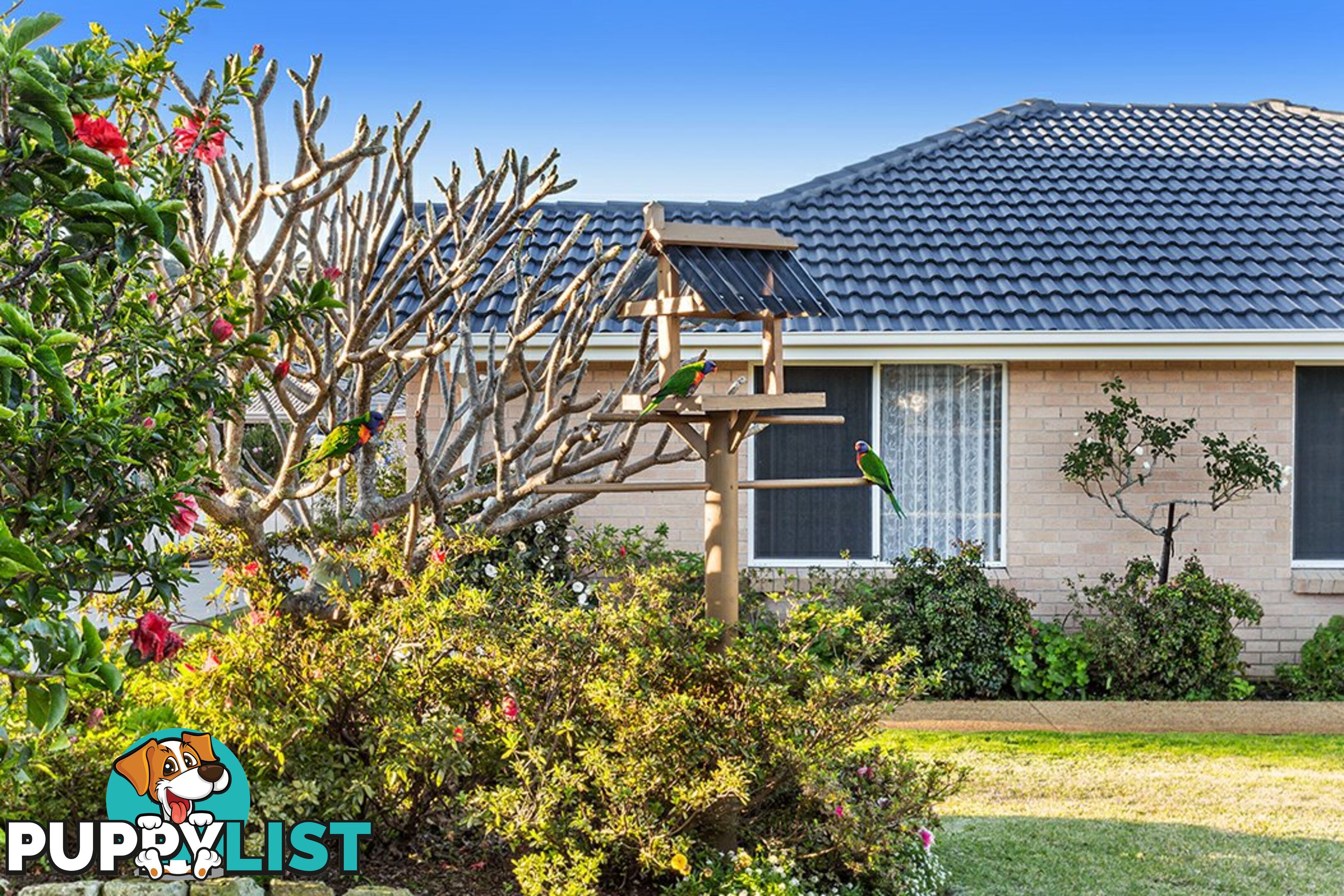 8 Helm Close SALAMANDER BAY NSW 2317