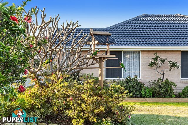 8 Helm Close SALAMANDER BAY NSW 2317