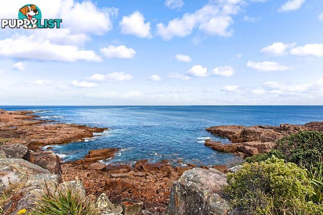 43 Kingsley Drive BOAT HARBOUR NSW 2316