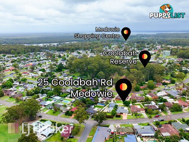 25 Coolabah Road MEDOWIE NSW 2318