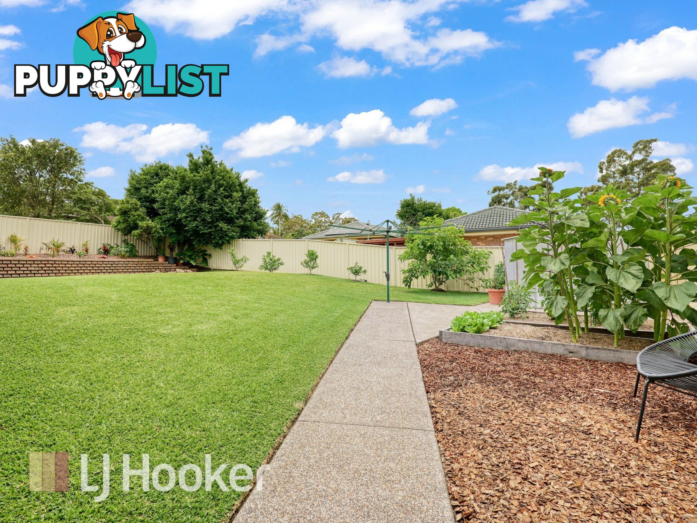 25 Coolabah Road MEDOWIE NSW 2318