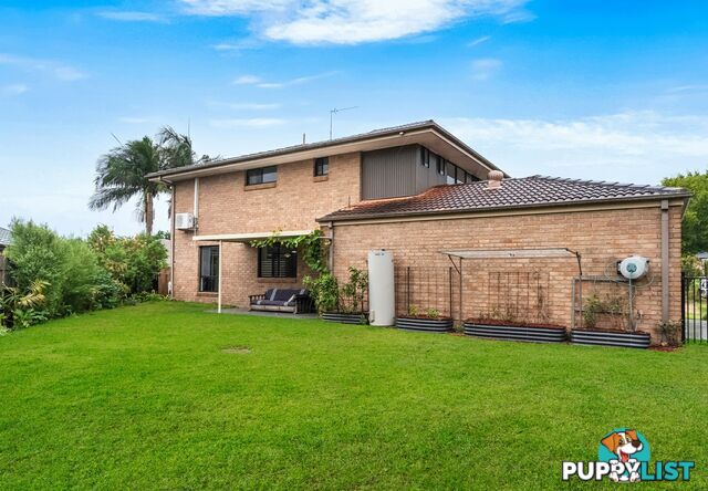 3 Gwalia Close MEDOWIE NSW 2318