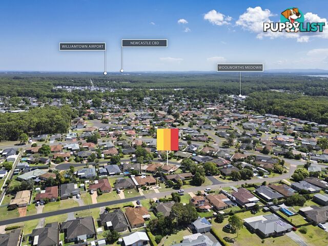 3 Gwalia Close MEDOWIE NSW 2318