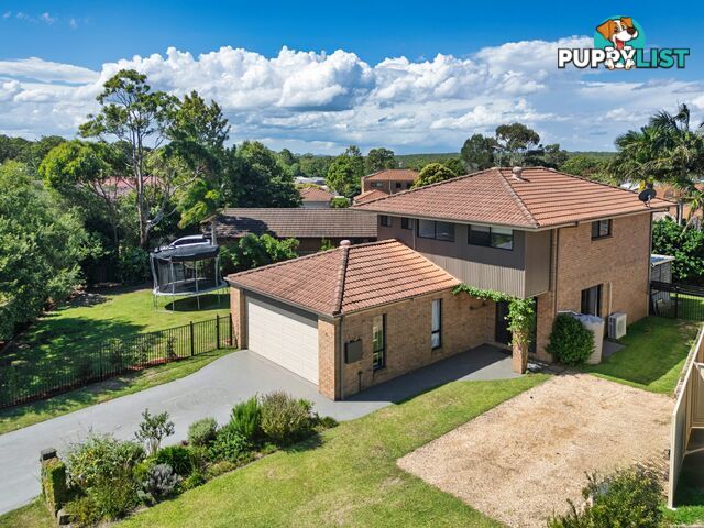 3 Gwalia Close MEDOWIE NSW 2318