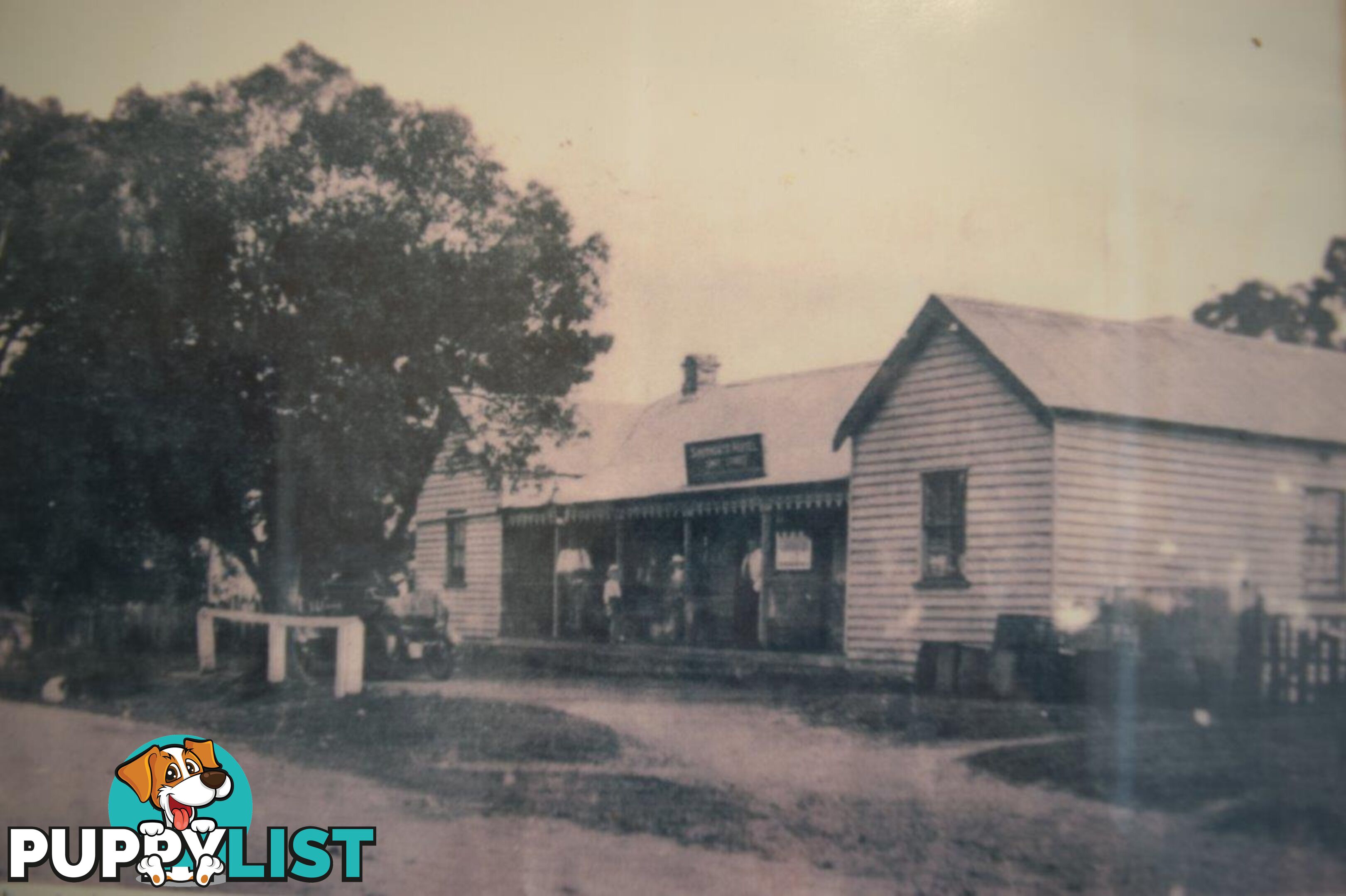 1143 Lawrence Road SOUTHGATE NSW 2460