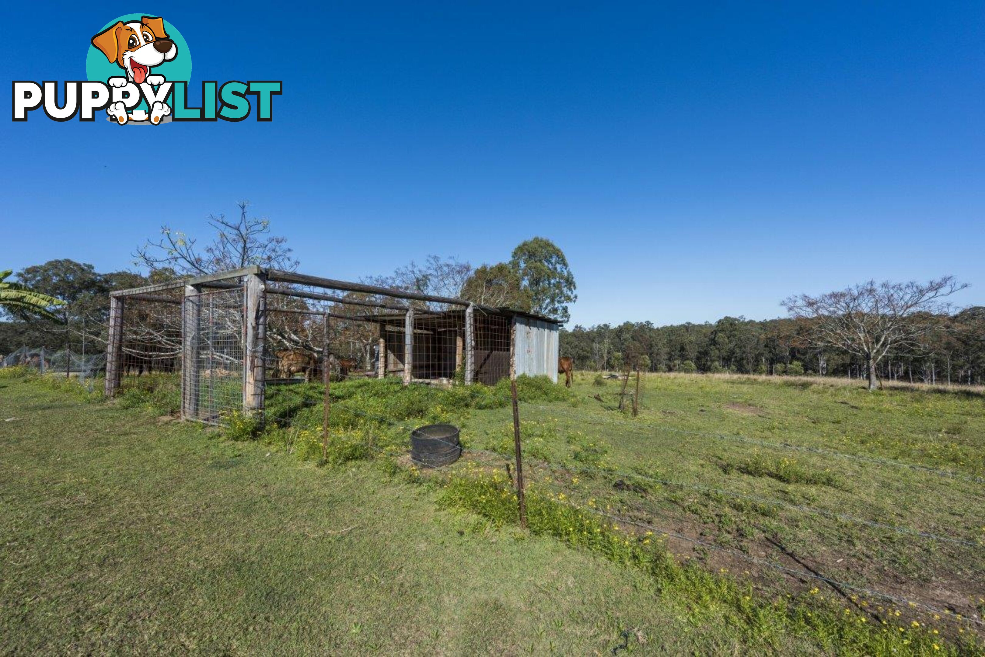 3458 Summerland Way GURRANANG NSW 2460