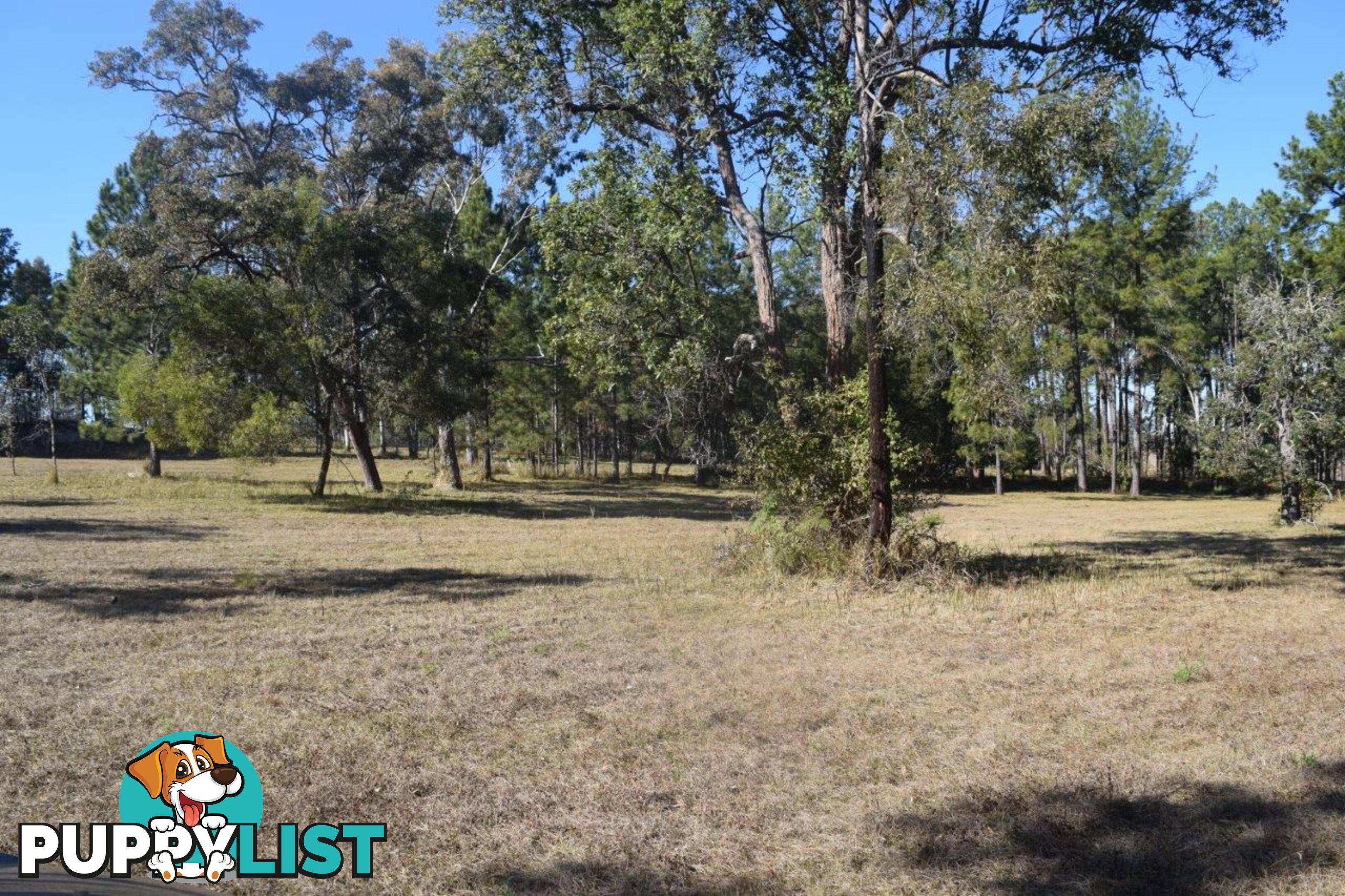 35 Sanders Road WHITEMAN CREEK NSW 2460