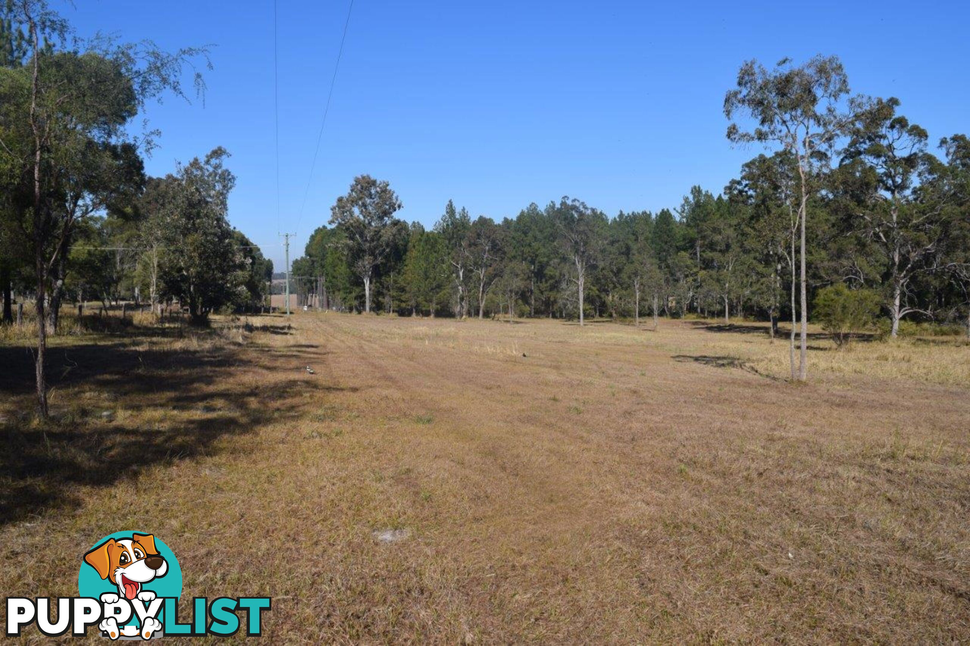 35 Sanders Road WHITEMAN CREEK NSW 2460