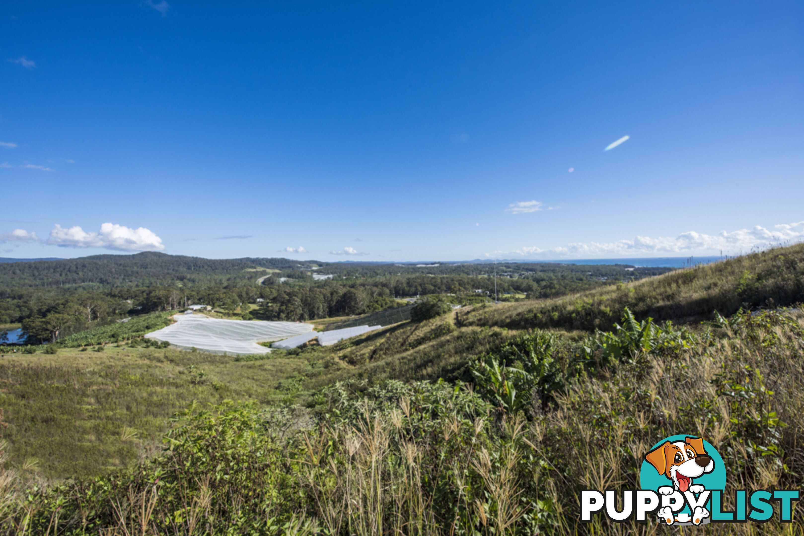 Lot 127 Greys Road WOOLGOOLGA NSW 2456