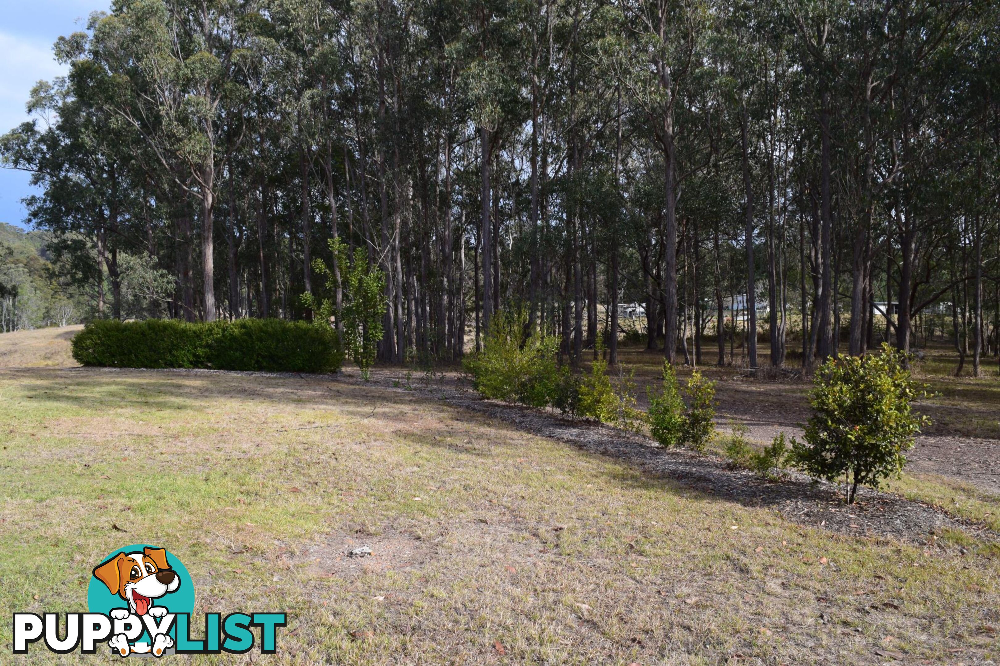 657 Glens Creek Road NYMBOIDA NSW 2460