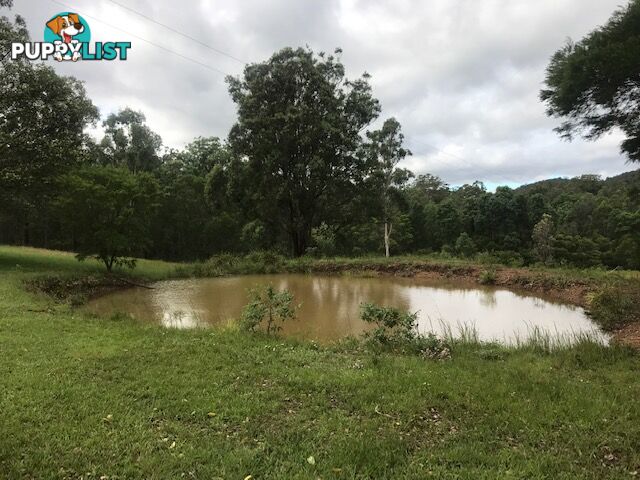 657 Glens Creek Road NYMBOIDA NSW 2460