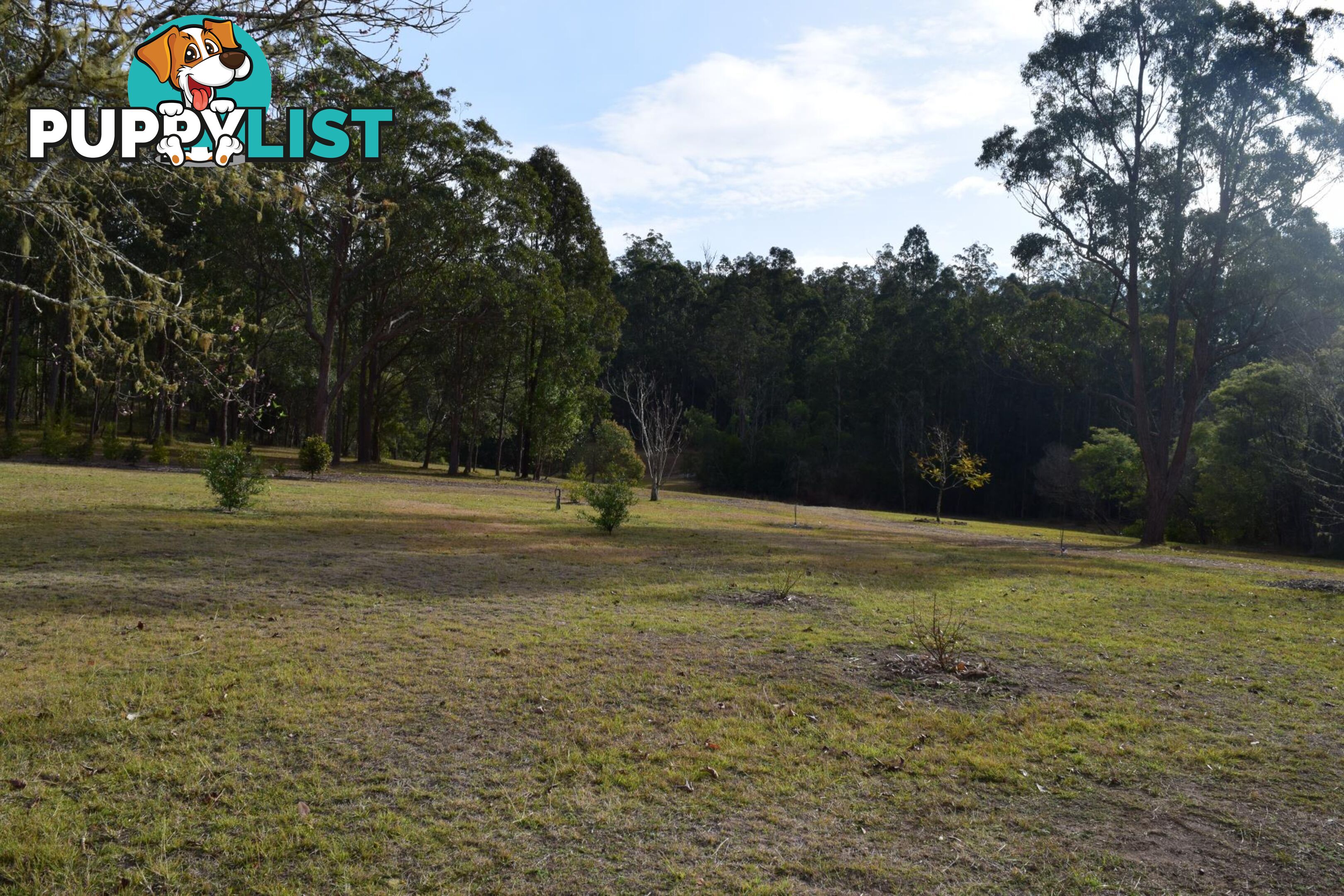 657 Glens Creek Road NYMBOIDA NSW 2460