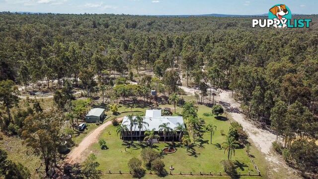 2122 Summerland Way WARRAGAI CREEK NSW 2460