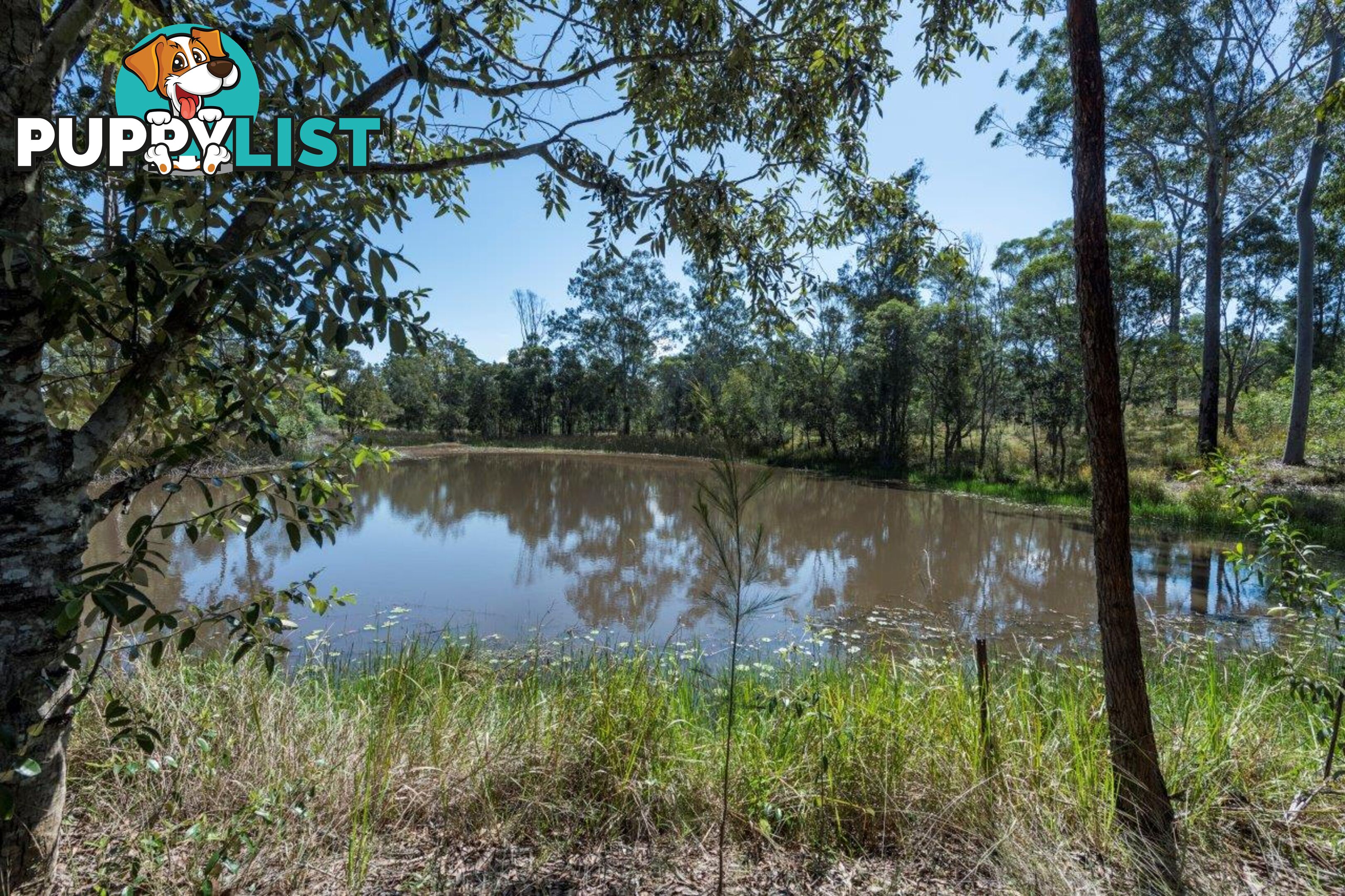 2122 Summerland Way WARRAGAI CREEK NSW 2460